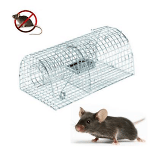 trappole per ratti